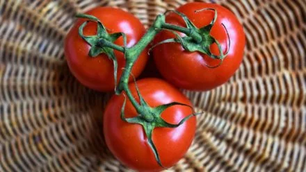 keto tomatoes