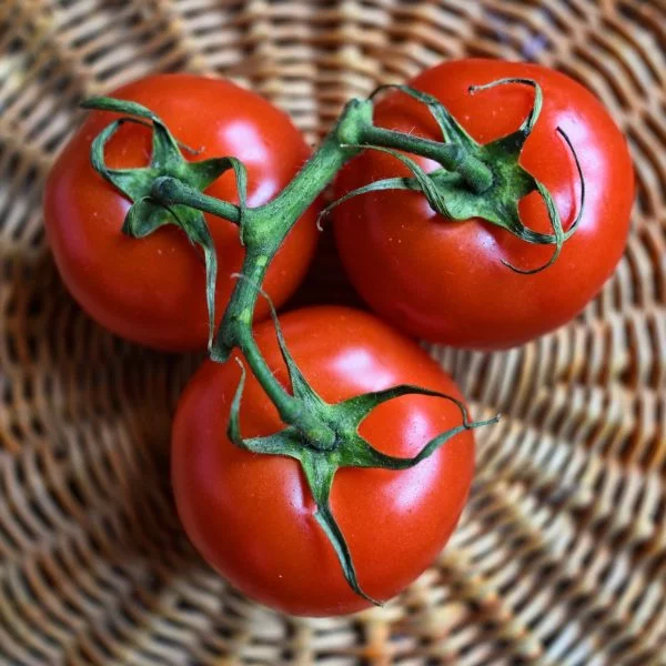 keto tomatoes
