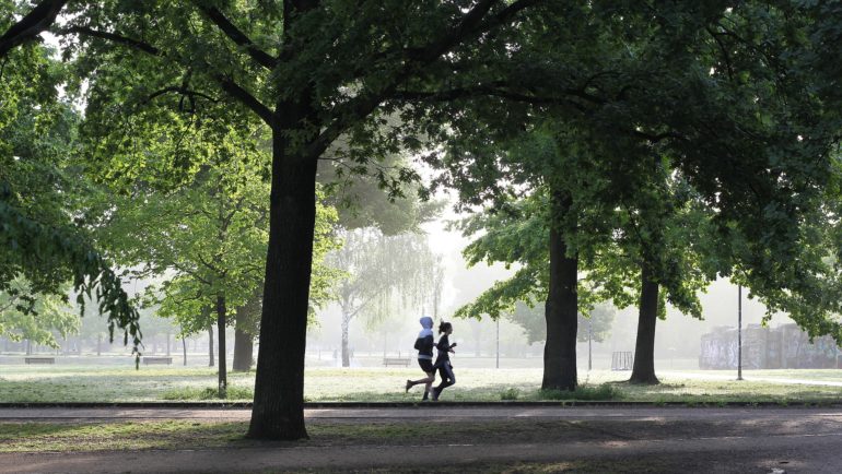 5k jog in a park