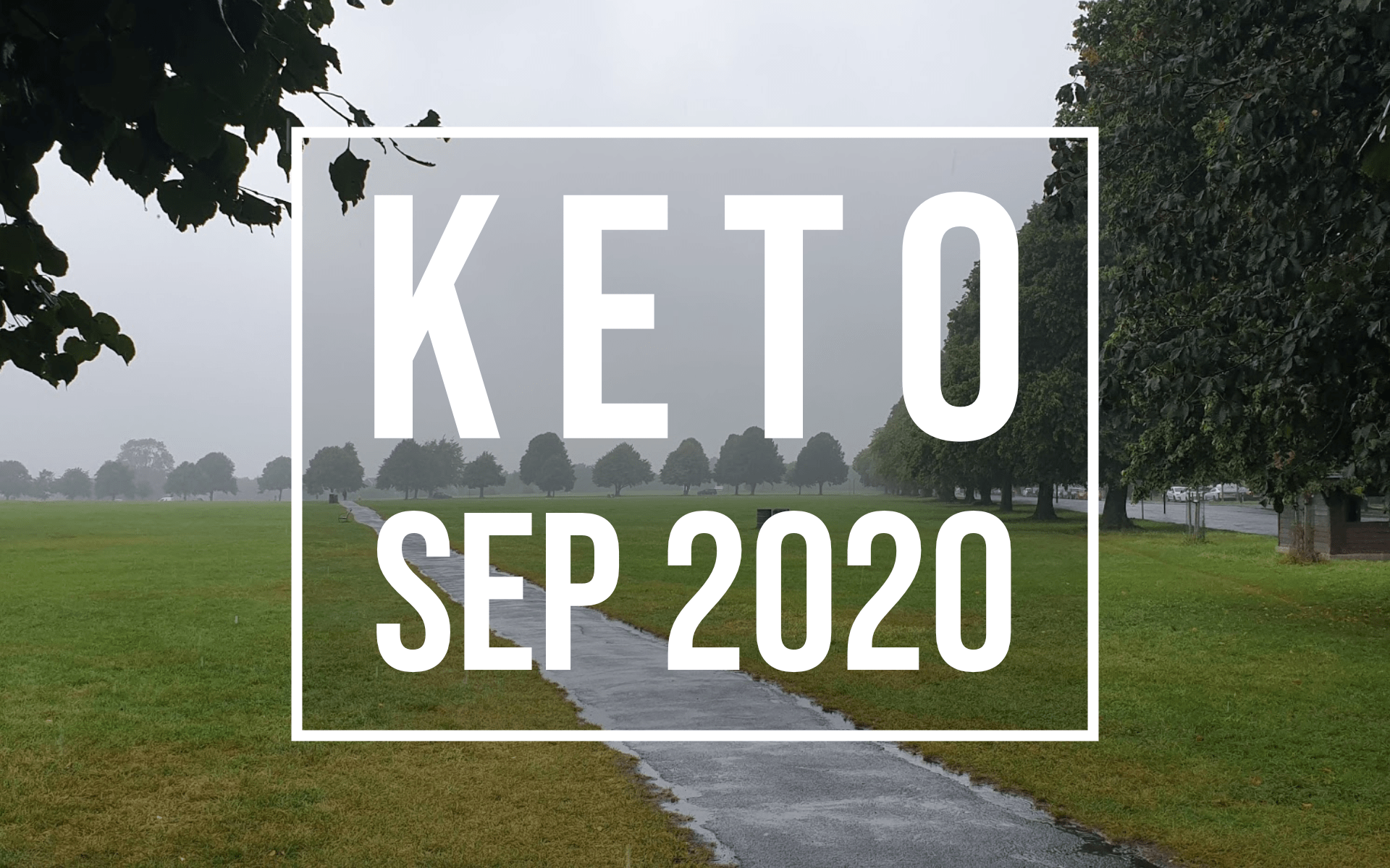 keto roundup sep 2020