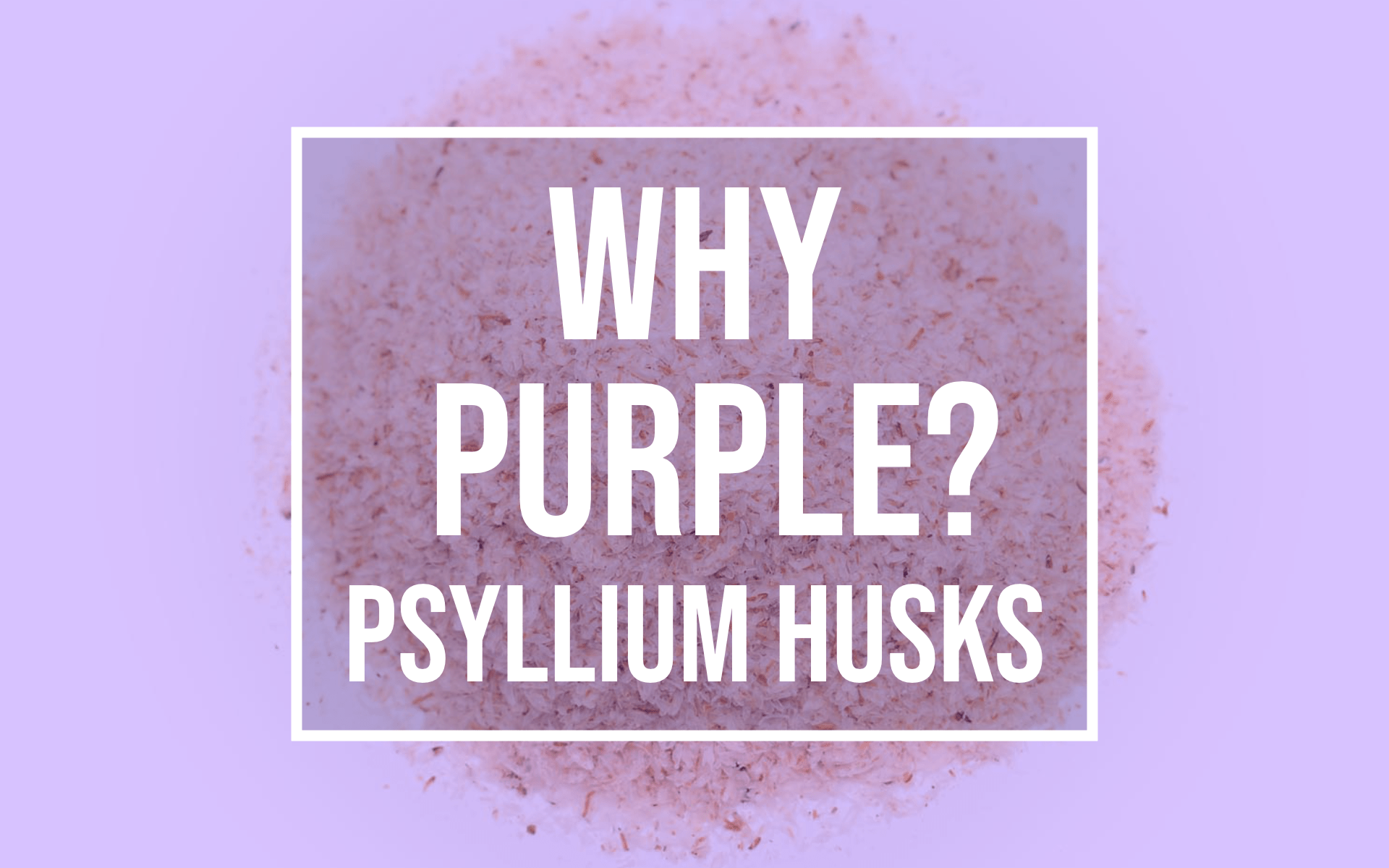 keto purple psyllium husk powder