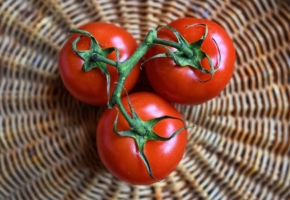 keto tomatoes